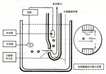 【兆恒机械】血液分析仪的检测原理及临床应用